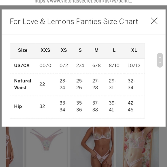 NWT For Love & Lemons Pastel Watercolor Rose Set - Picture 9 of 12